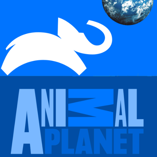 channel